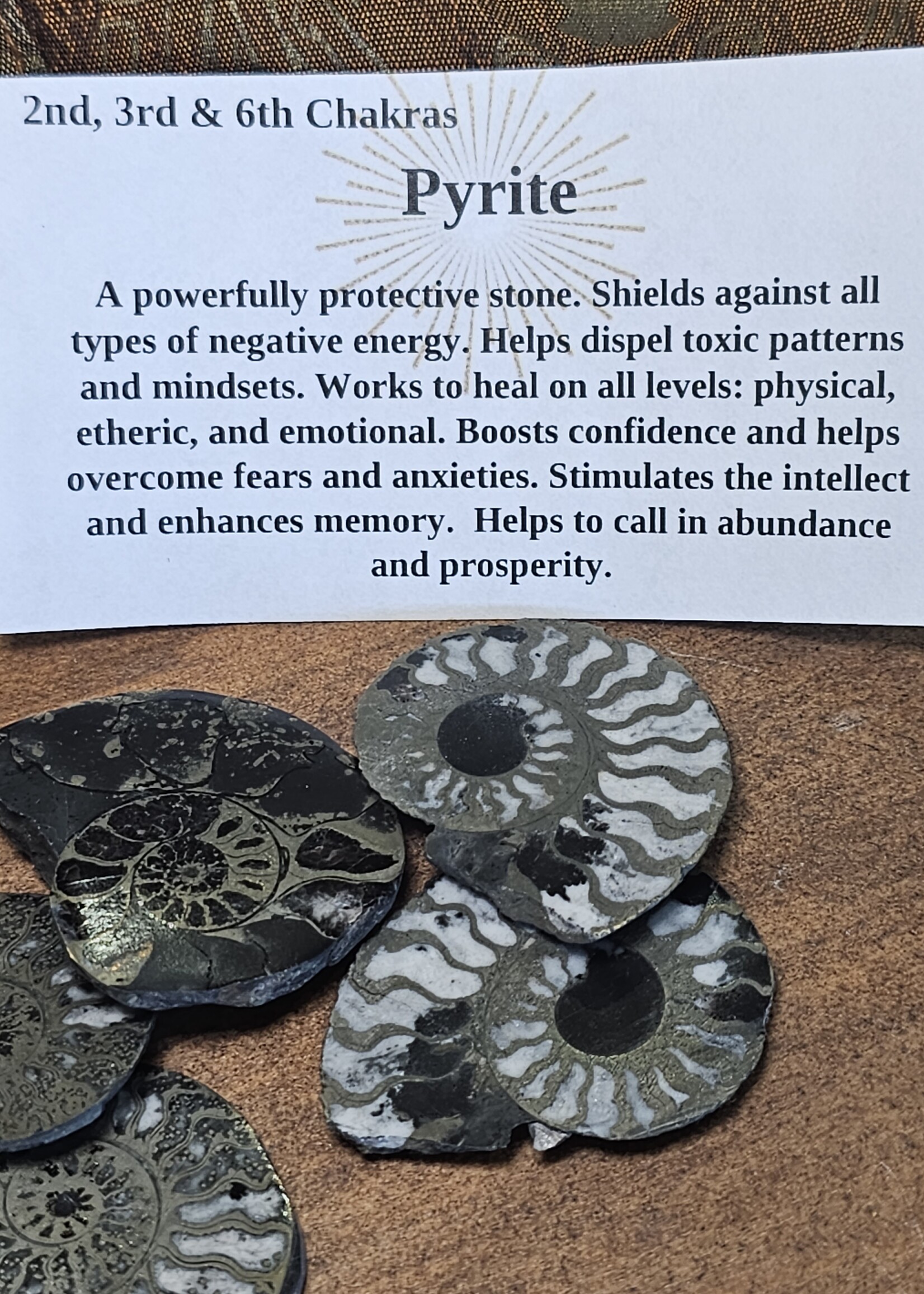 Pyritized Ammonite Pair 1.5x1x0.25 inch