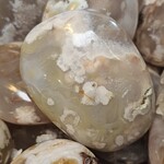 Flower Agate Palm Med 2.5x2x1 inch