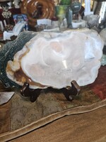 Flower Agate Slab 8x5x.25 inch