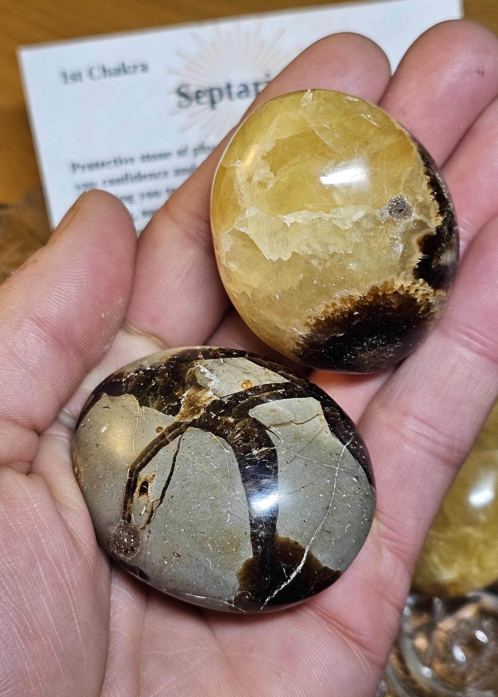 Septarian, Palm Stone A Grade,  2 x 1.5x1"
