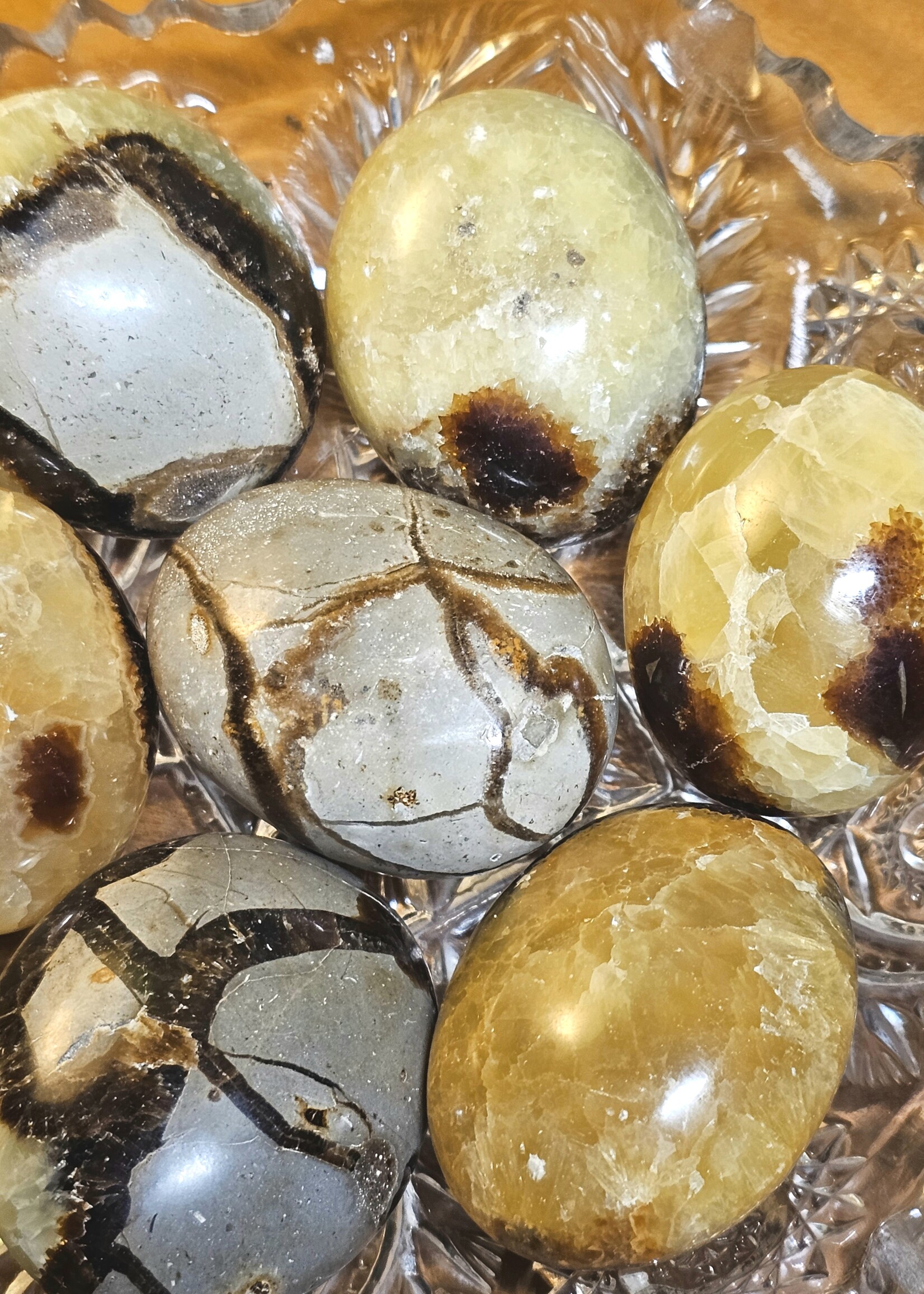 Septarian, Palm Stone A Grade,  2 x 1.5x1"