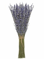 The Energy Within Dried Lavender Flower Bouquet