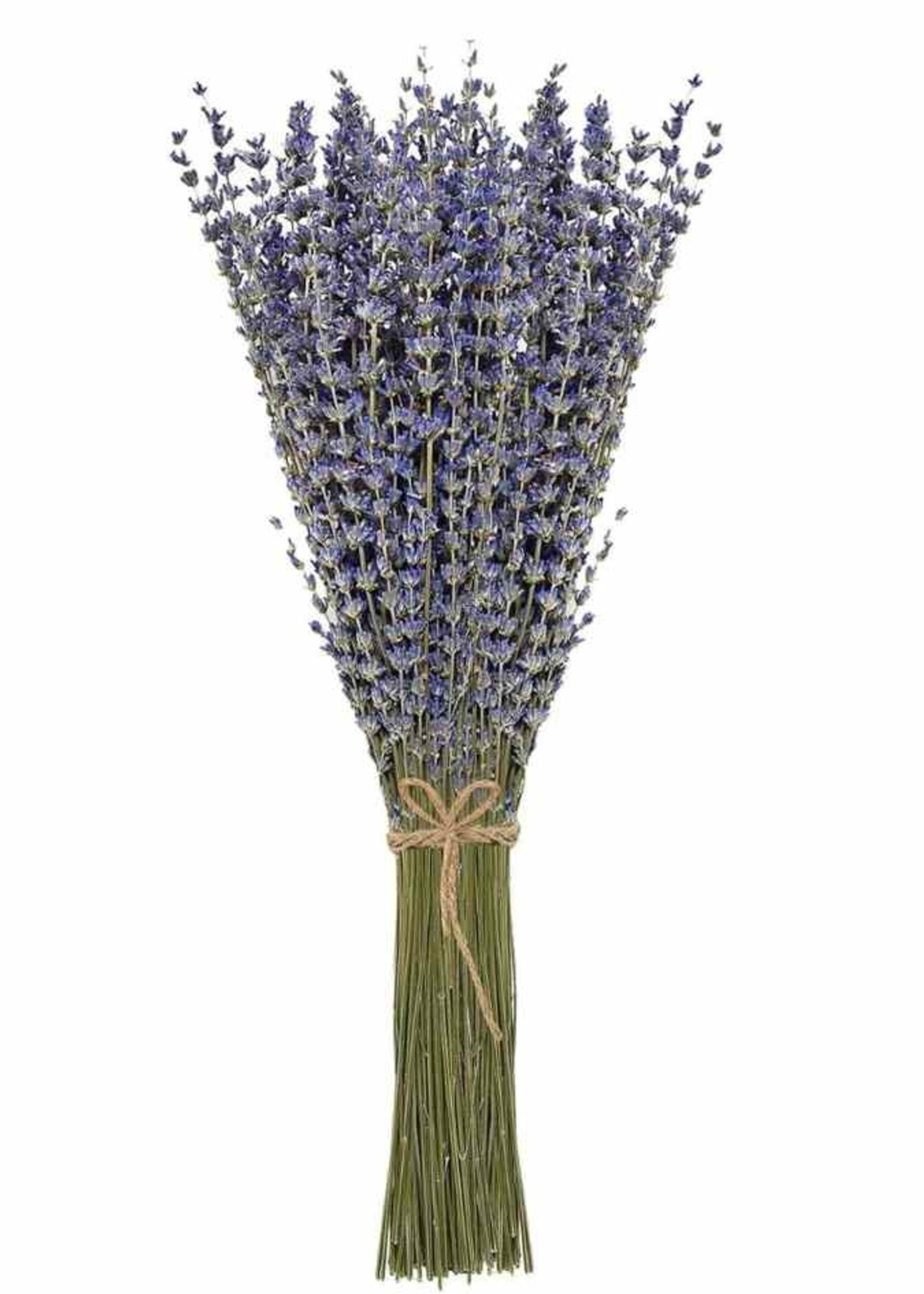 The Energy Within Dried Lavender Flower Bouquet