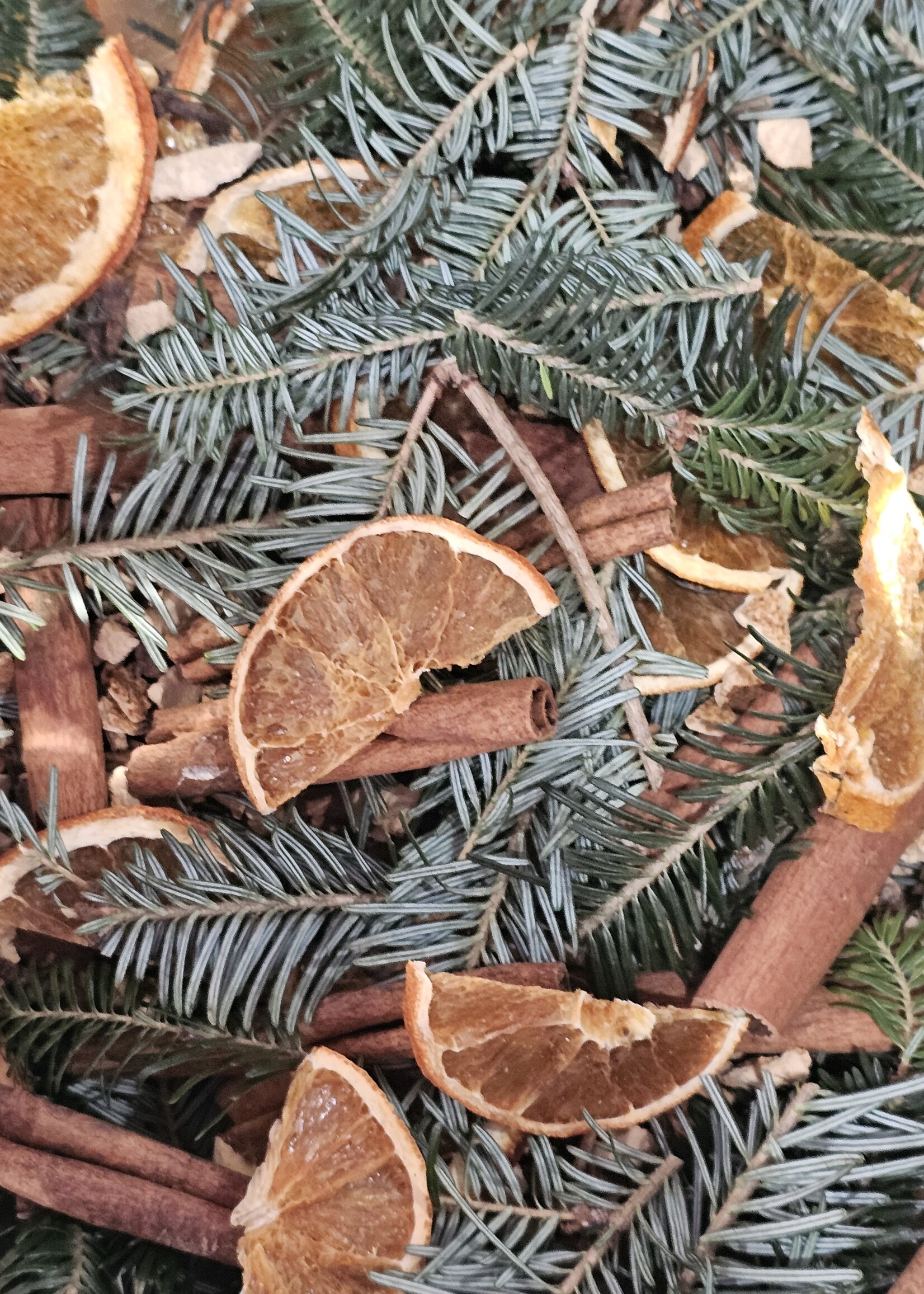 The Energy Within Abundant Beginnings & Blessings Simmer Pot Brew