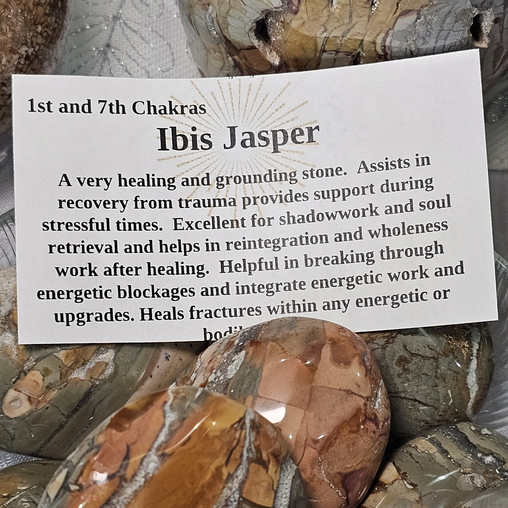 Ibis Jasper Palm Med 2 x 1.5