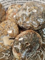 Ibis Jasper, Palm Small 1x1 inch