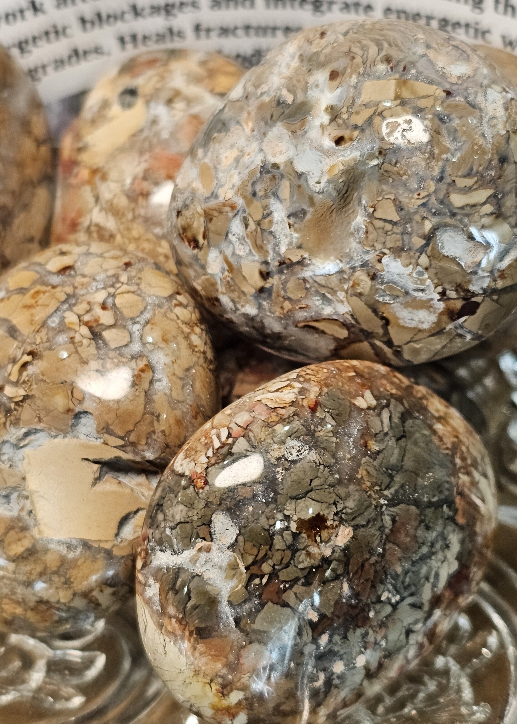 Ibis Jasper Palm Sm 1x1"