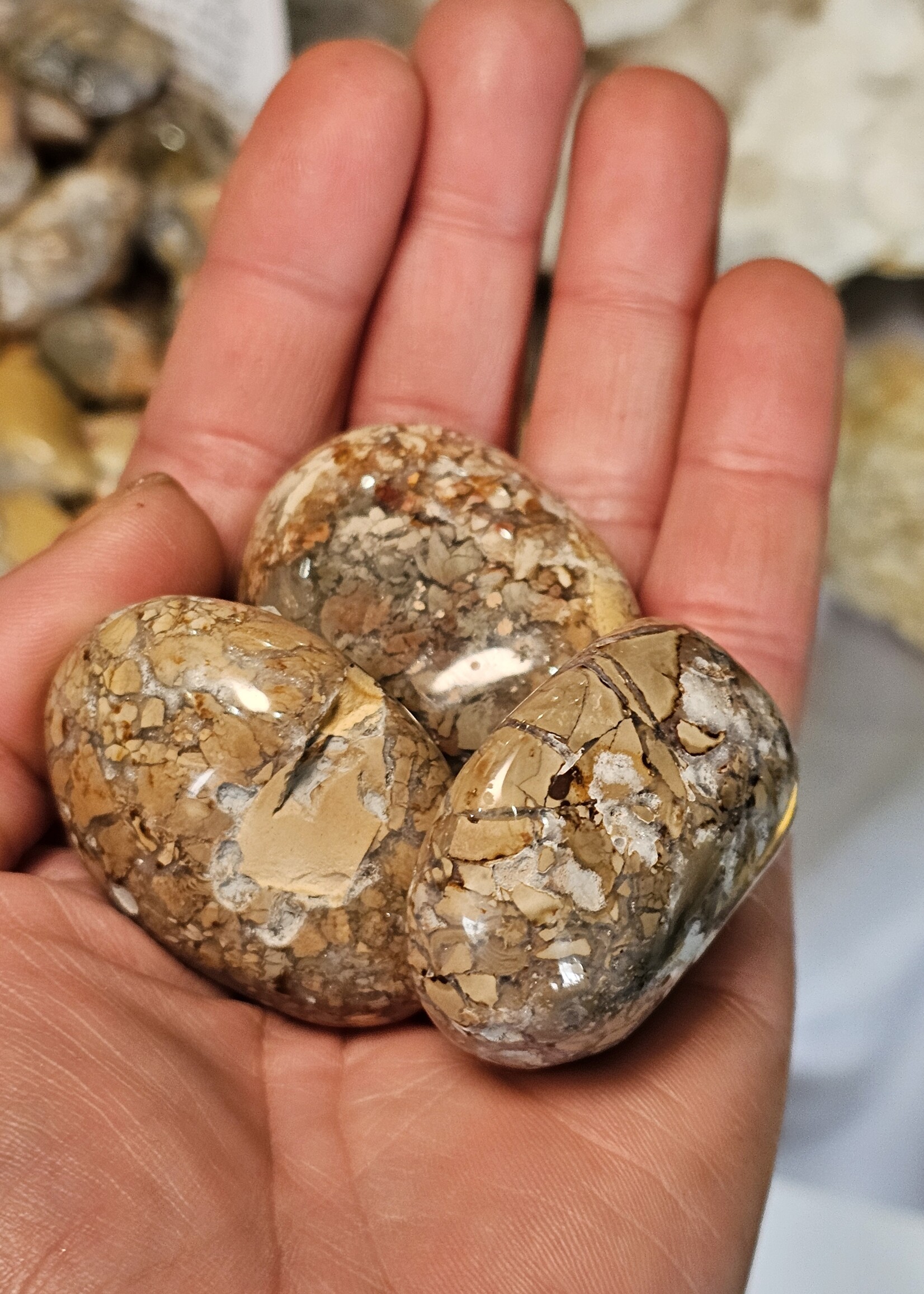 Ibis Jasper, Palm Small 1x1 inch