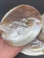 XL Blister Pearl Shell