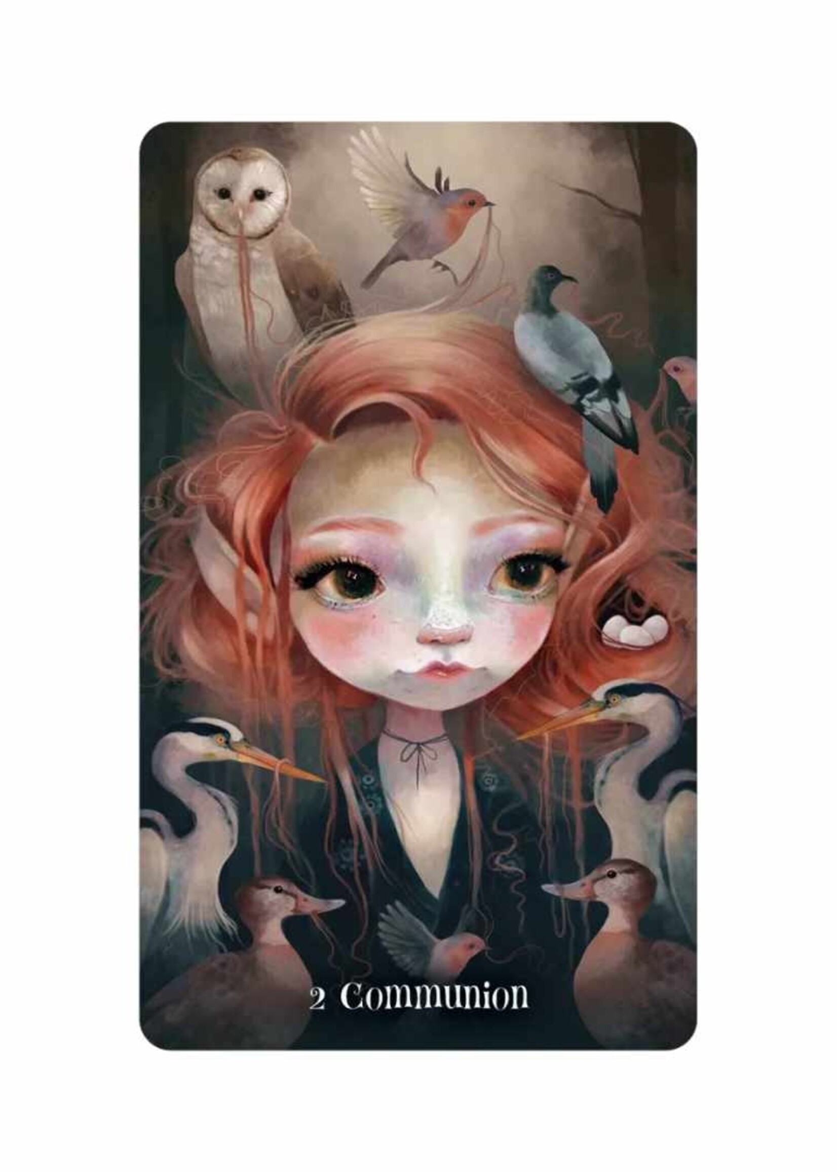 Wisdom of the Wild Things Oracle 45 Card Deck & Book