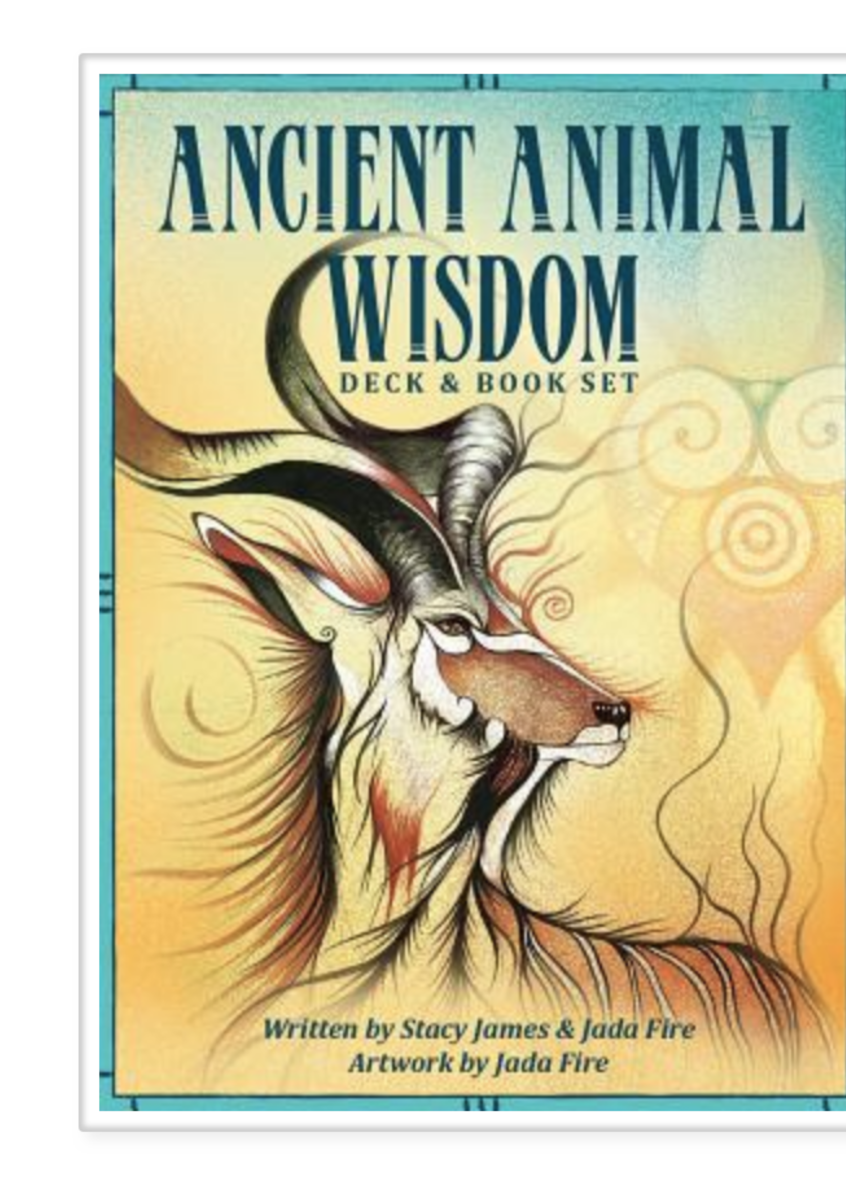 Ancient Animal Wisdom Oracle Deck - Local KC Artist