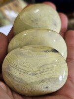 Infinite Palm Sonte 2 x 0.5"