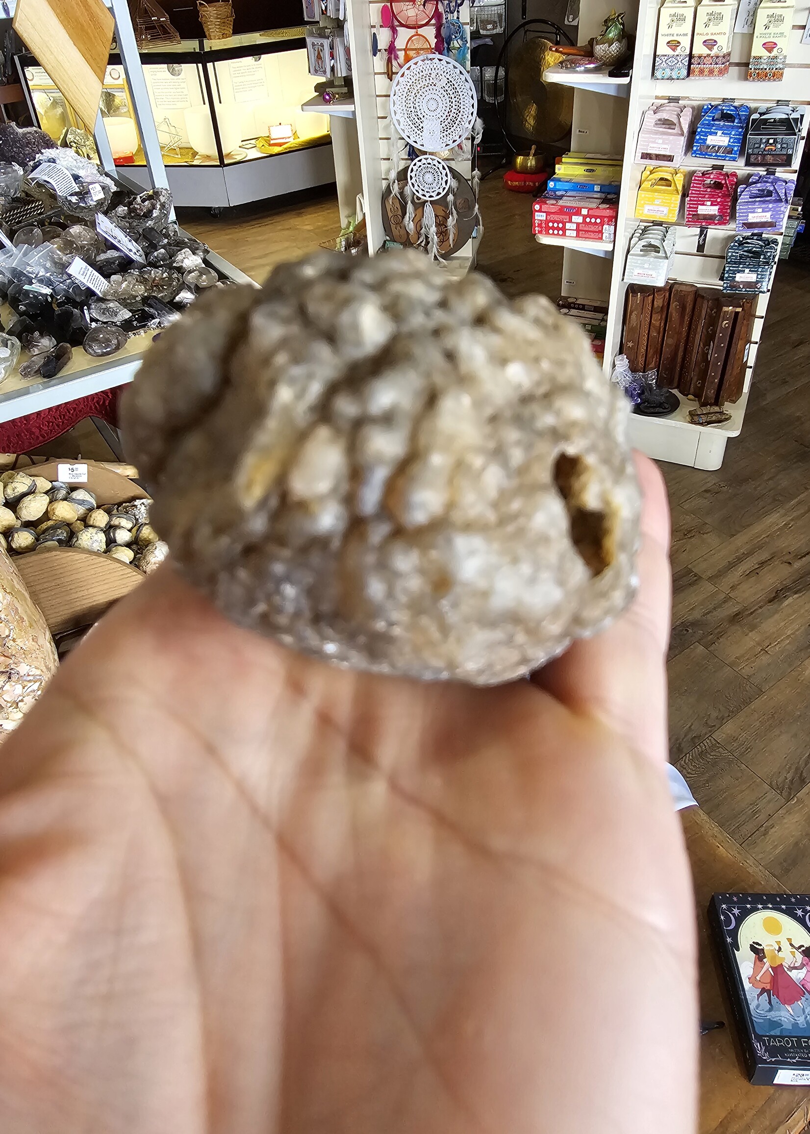 Chalcedony Natural Formation Lg 3x2"