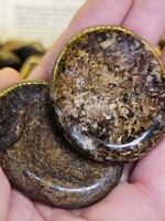 Bronzite Lg Worry Stone