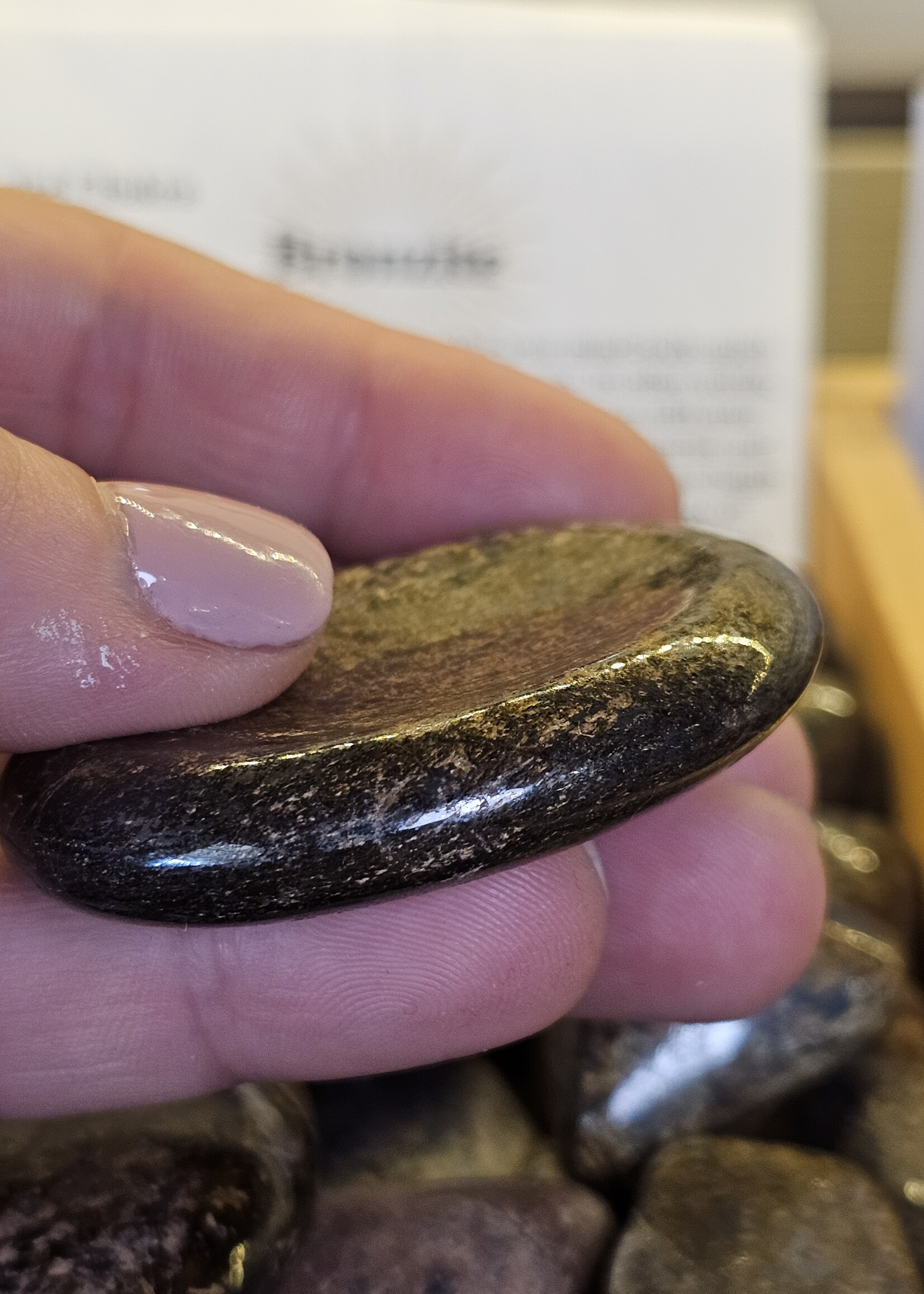 Bronzite Lg Worry Stone