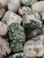 Tree Agate Tumbled, Medium