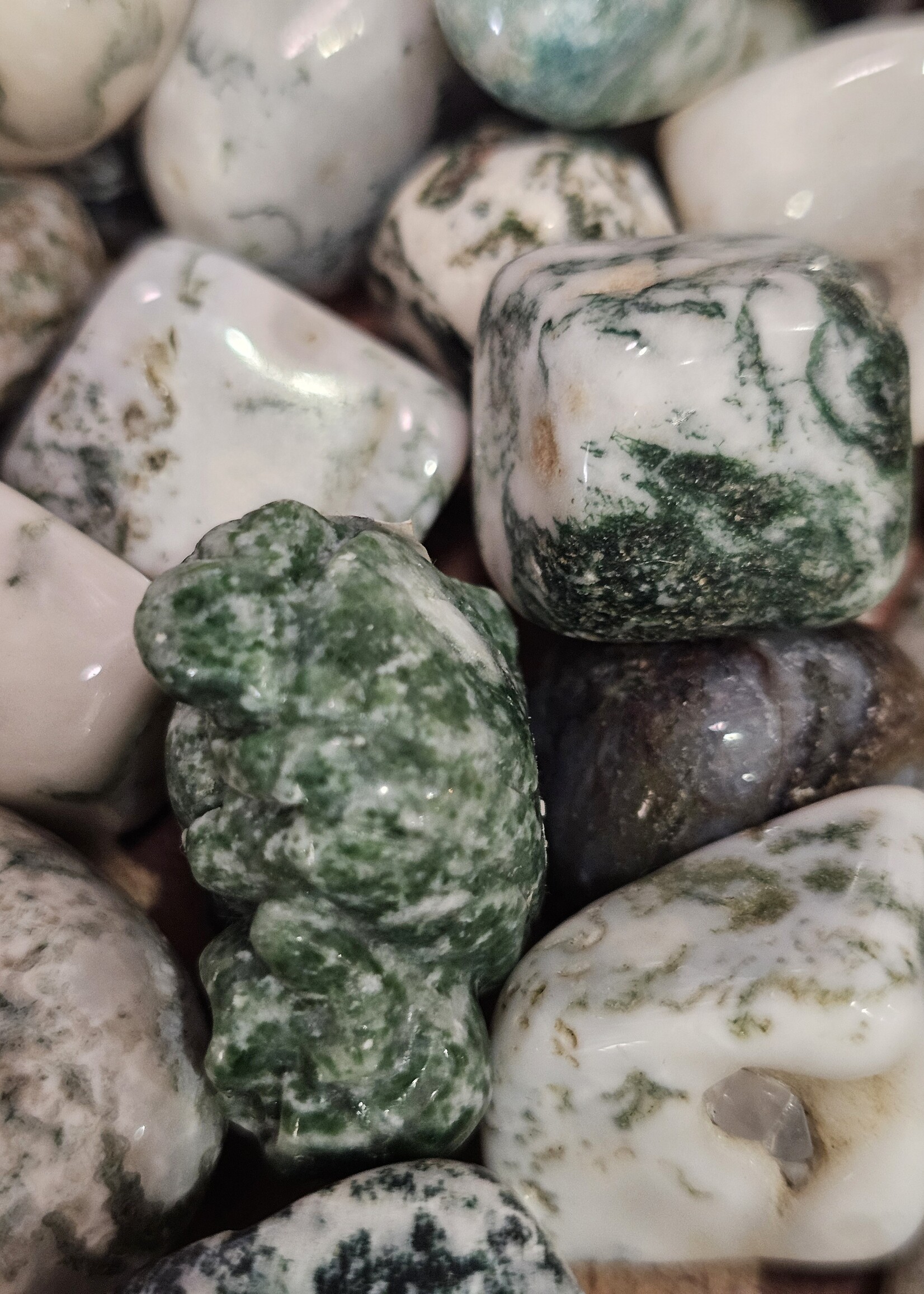 Tree Agate Tumbled, Medium