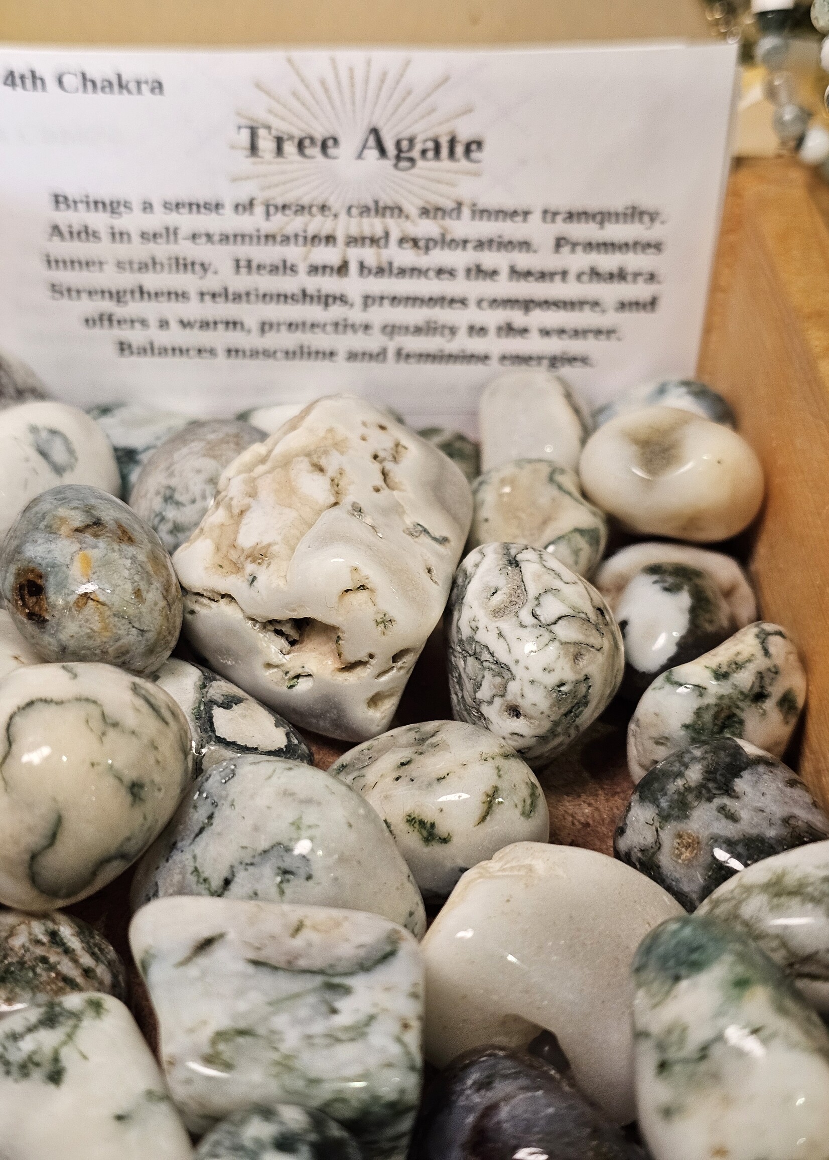 Tree Agate Tumbled, Medium