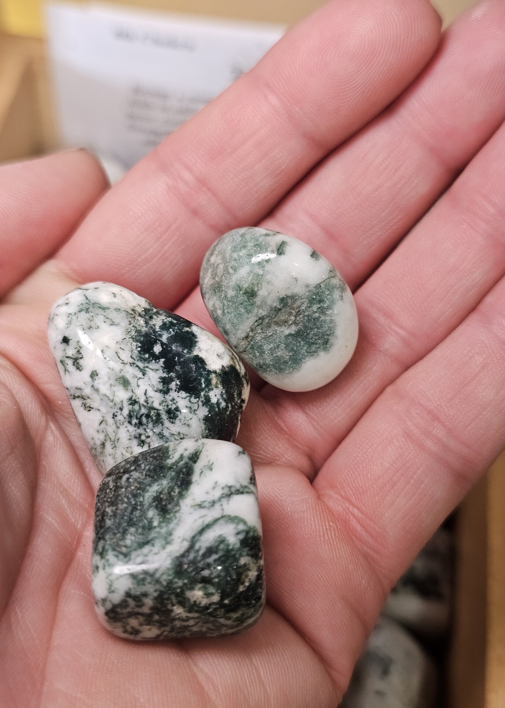 Tree Agate Tumbled, Medium