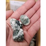 Tree Agate