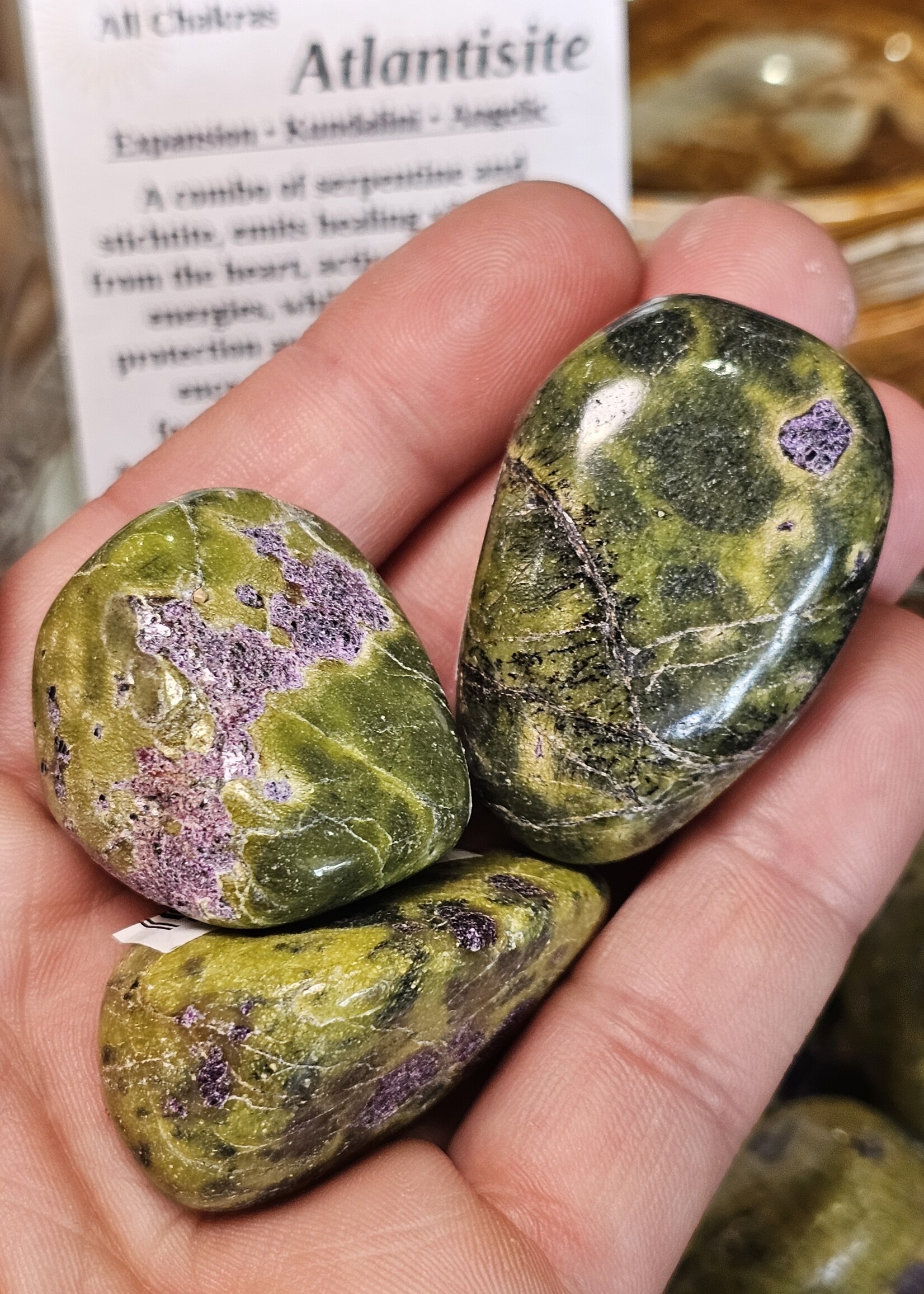 Atlantisite Tumbled, Large: Stichtite & Serpentine