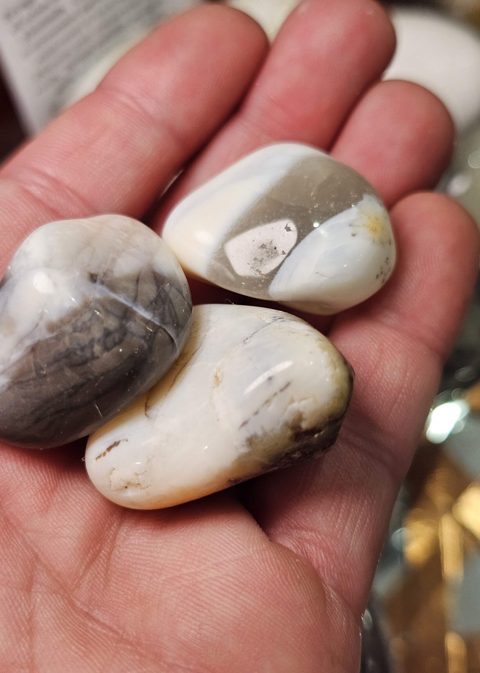 Dendritic Agate Tumbled, Medium
