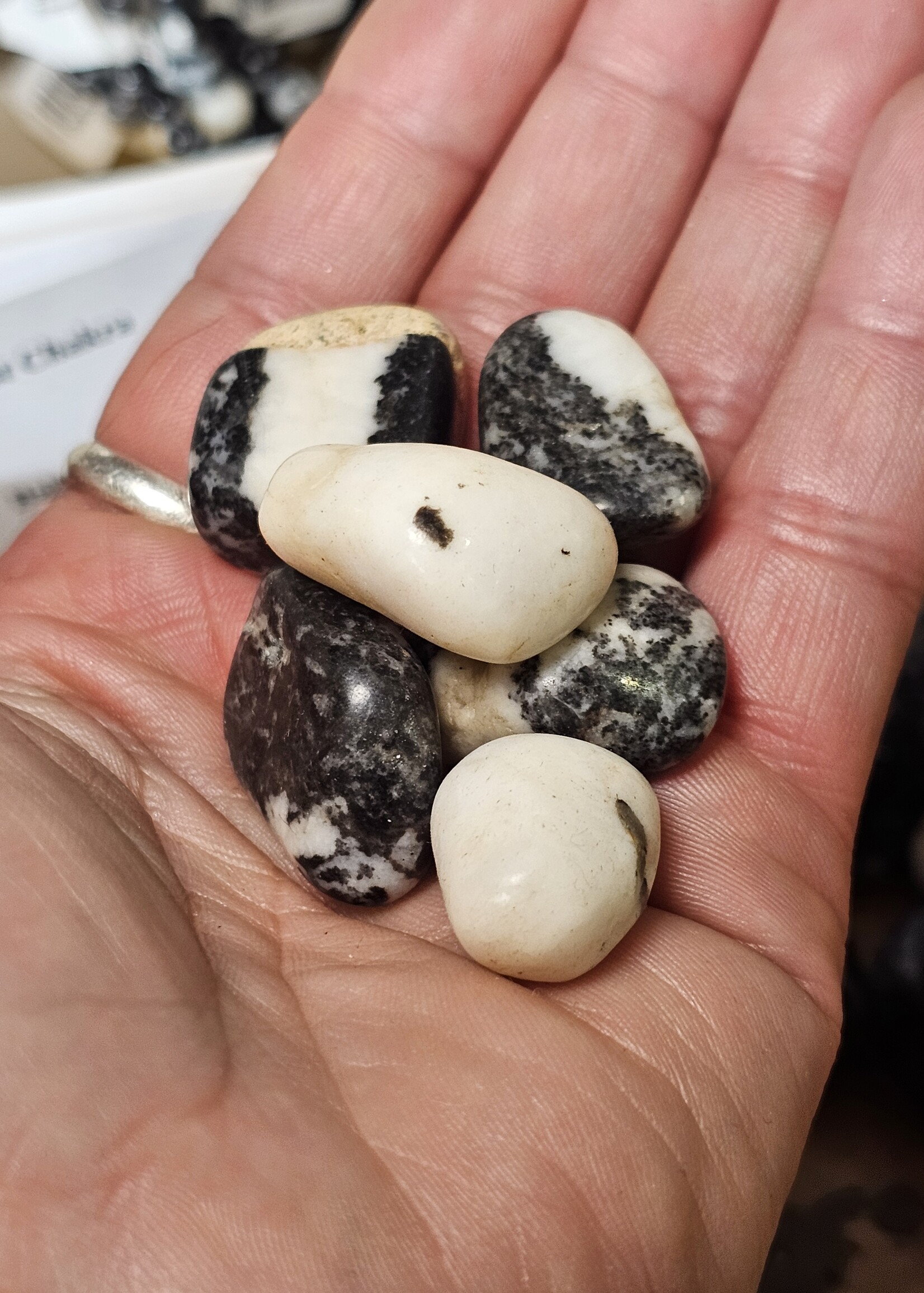 Zebra Jasper Tumbled, Medium