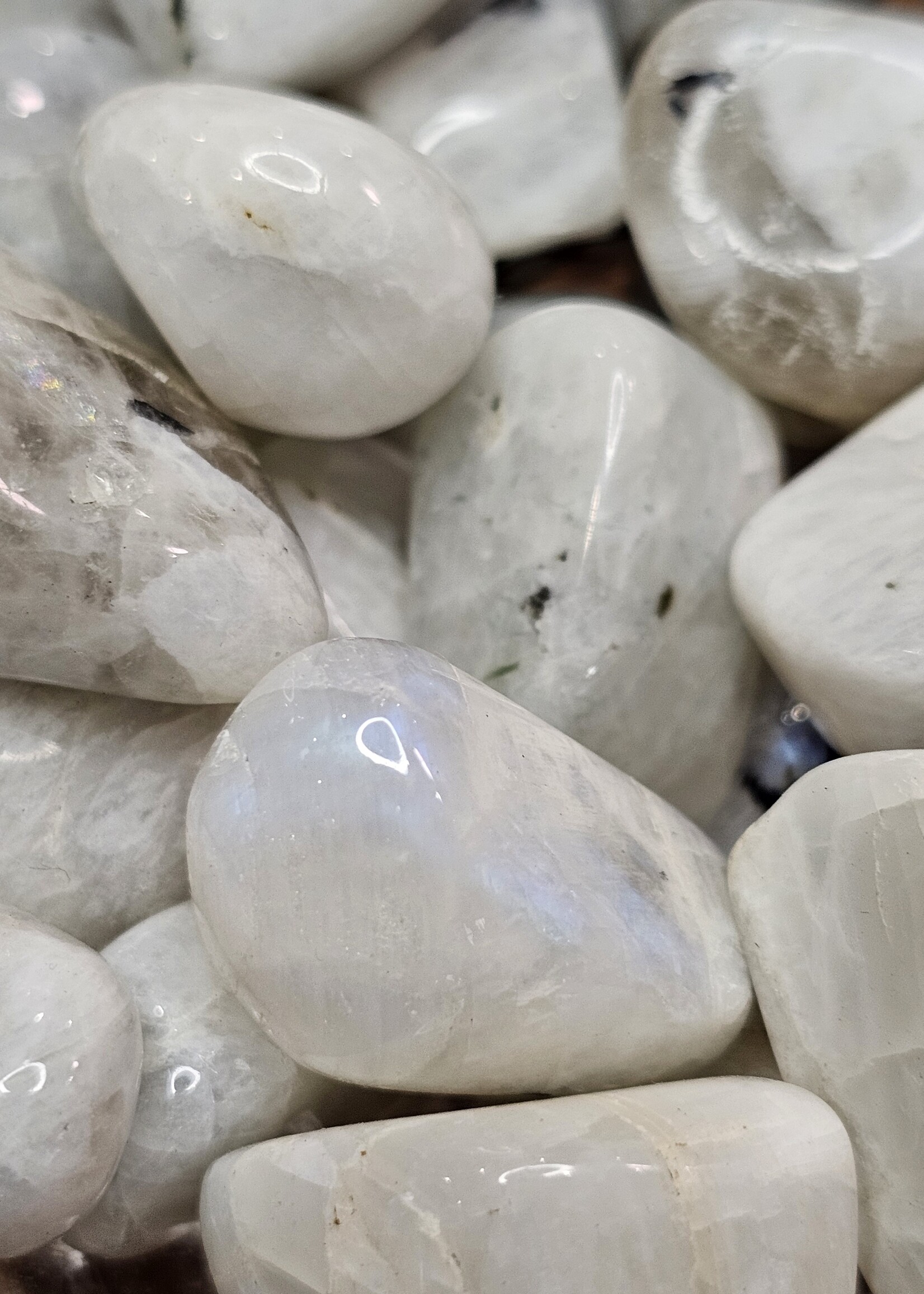 Rainbow Moonstone Tumbled, Medium