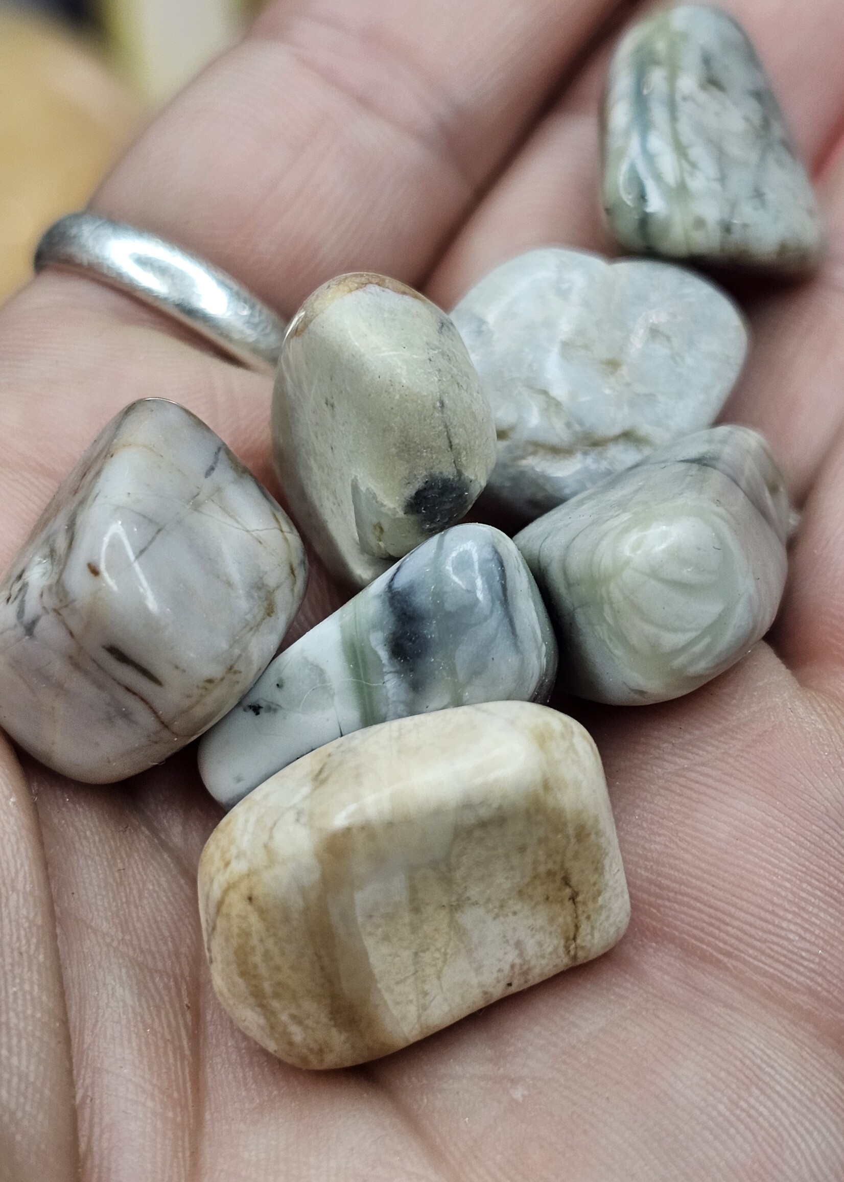 Picasso Jasper Tumbled, Small