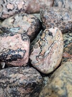 Leopard Skin Jasper Tumbled, Medium