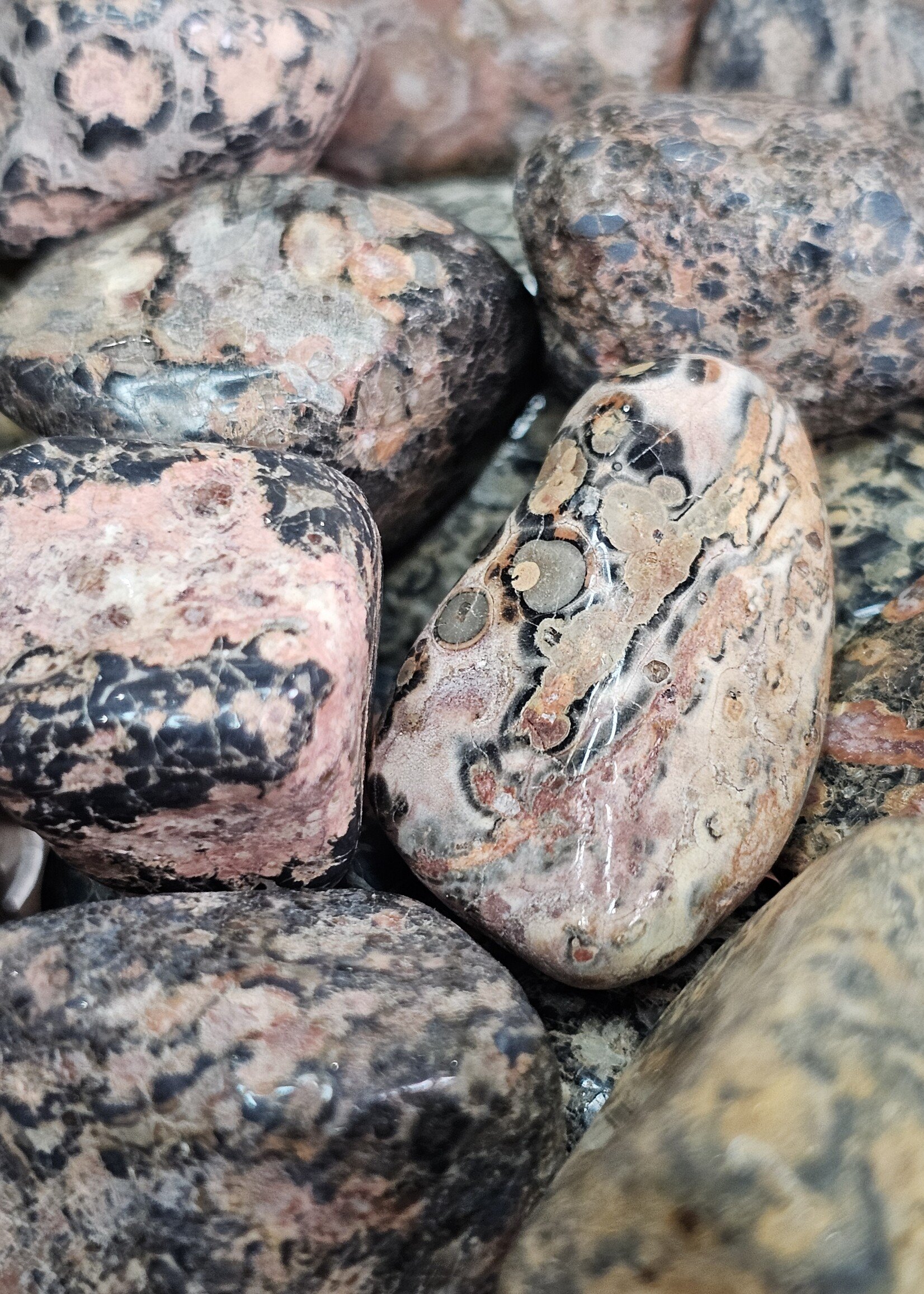 Leopard Skin Jasper Tumbled, Medium
