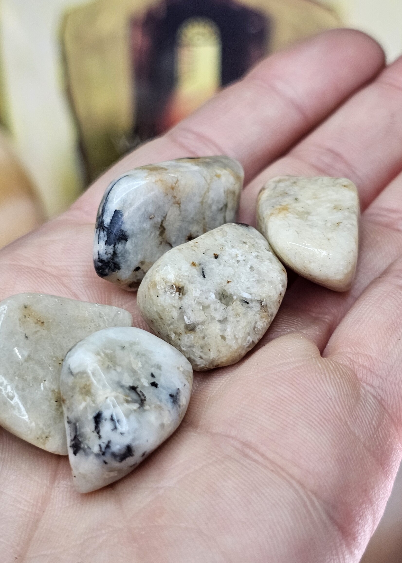 Cassiterite Tumbled, Small