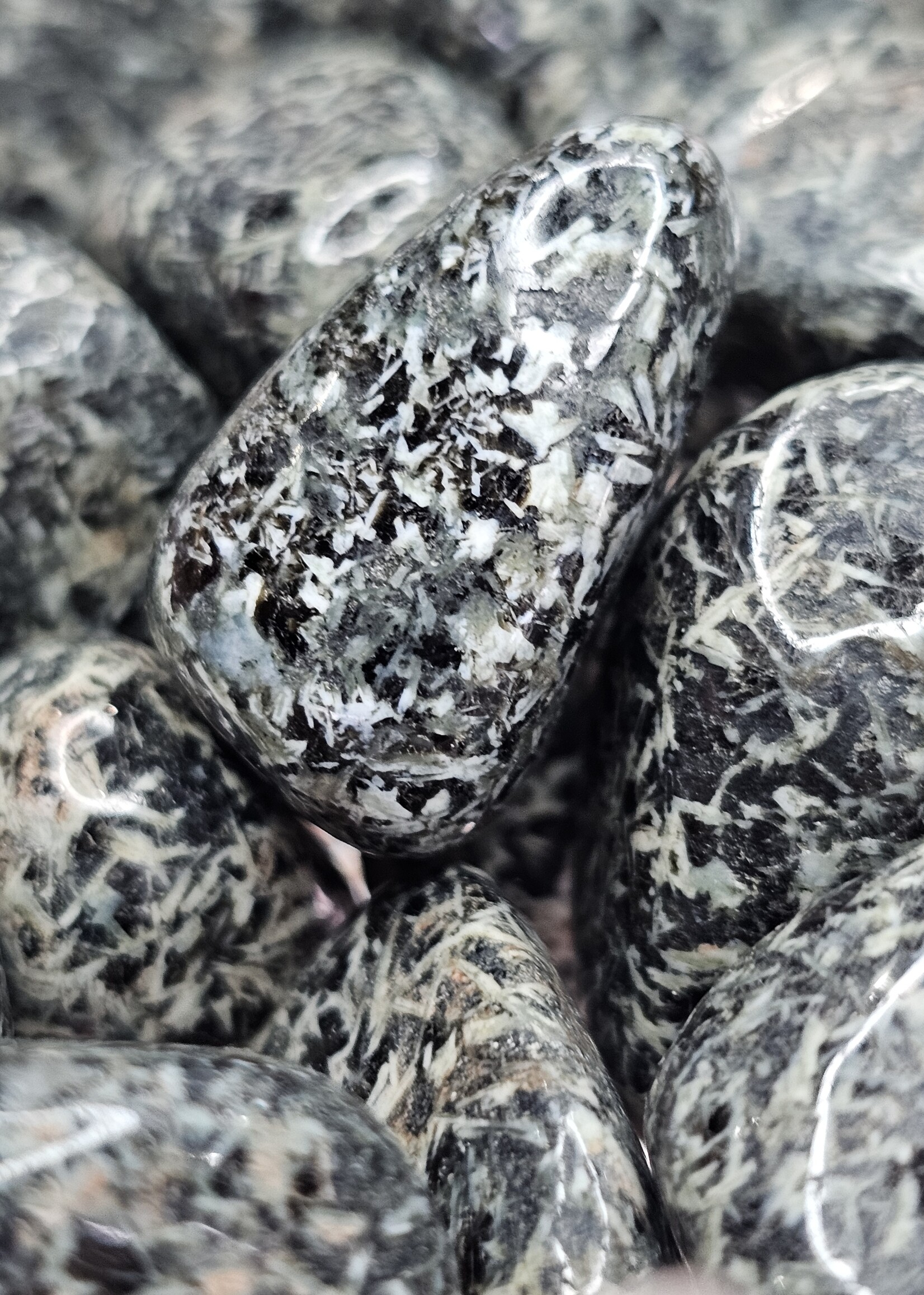 Christmas Flower Jasper Tumbled, Medium