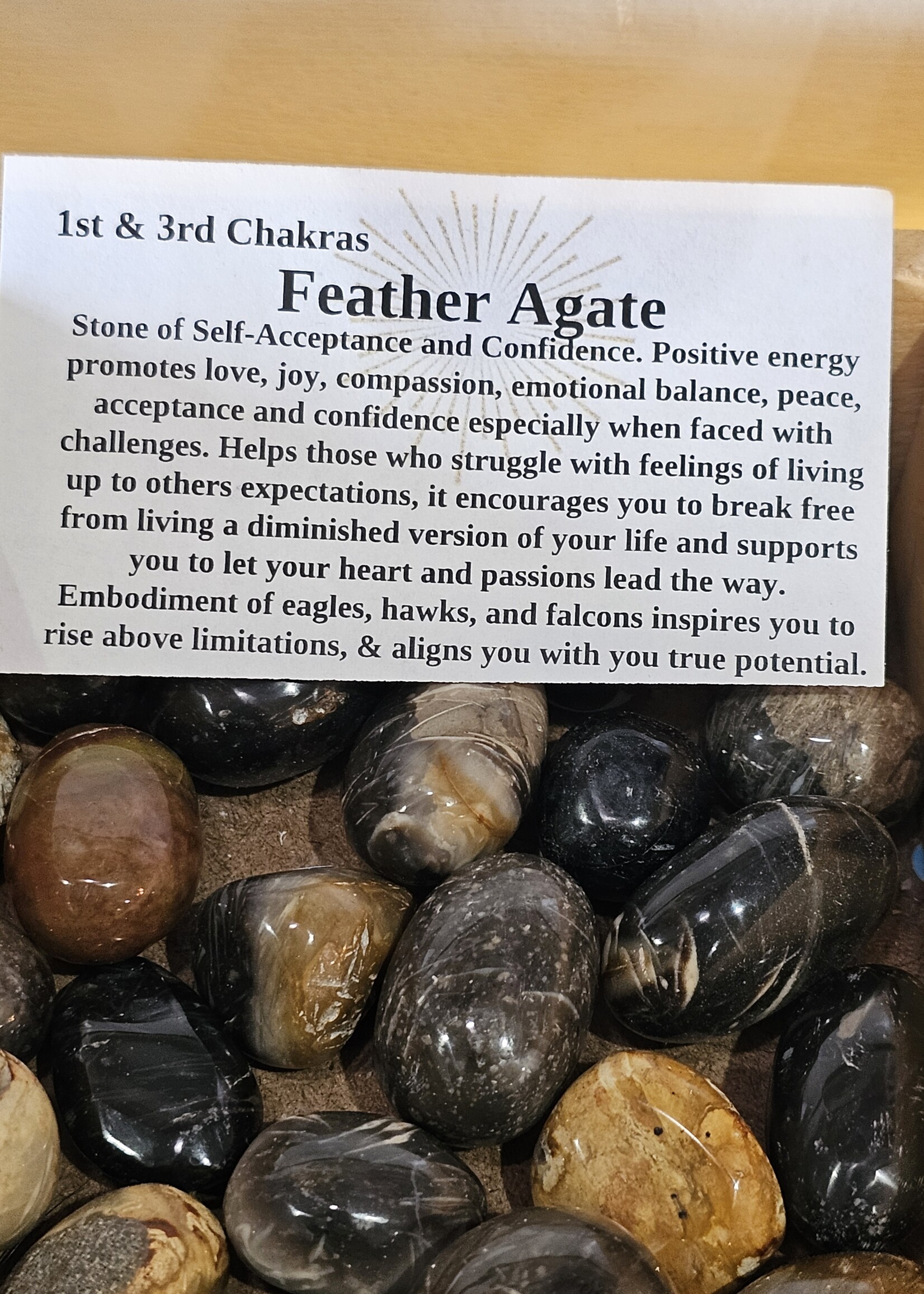 Feather Agate Tumbled