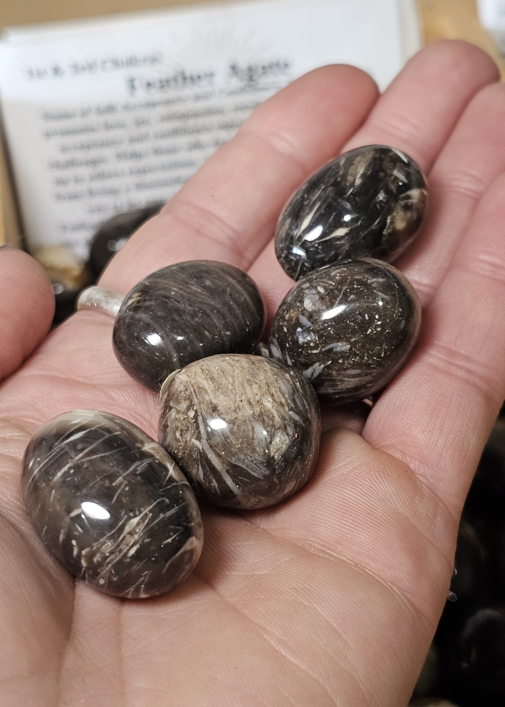 Feather Agate Tumbled