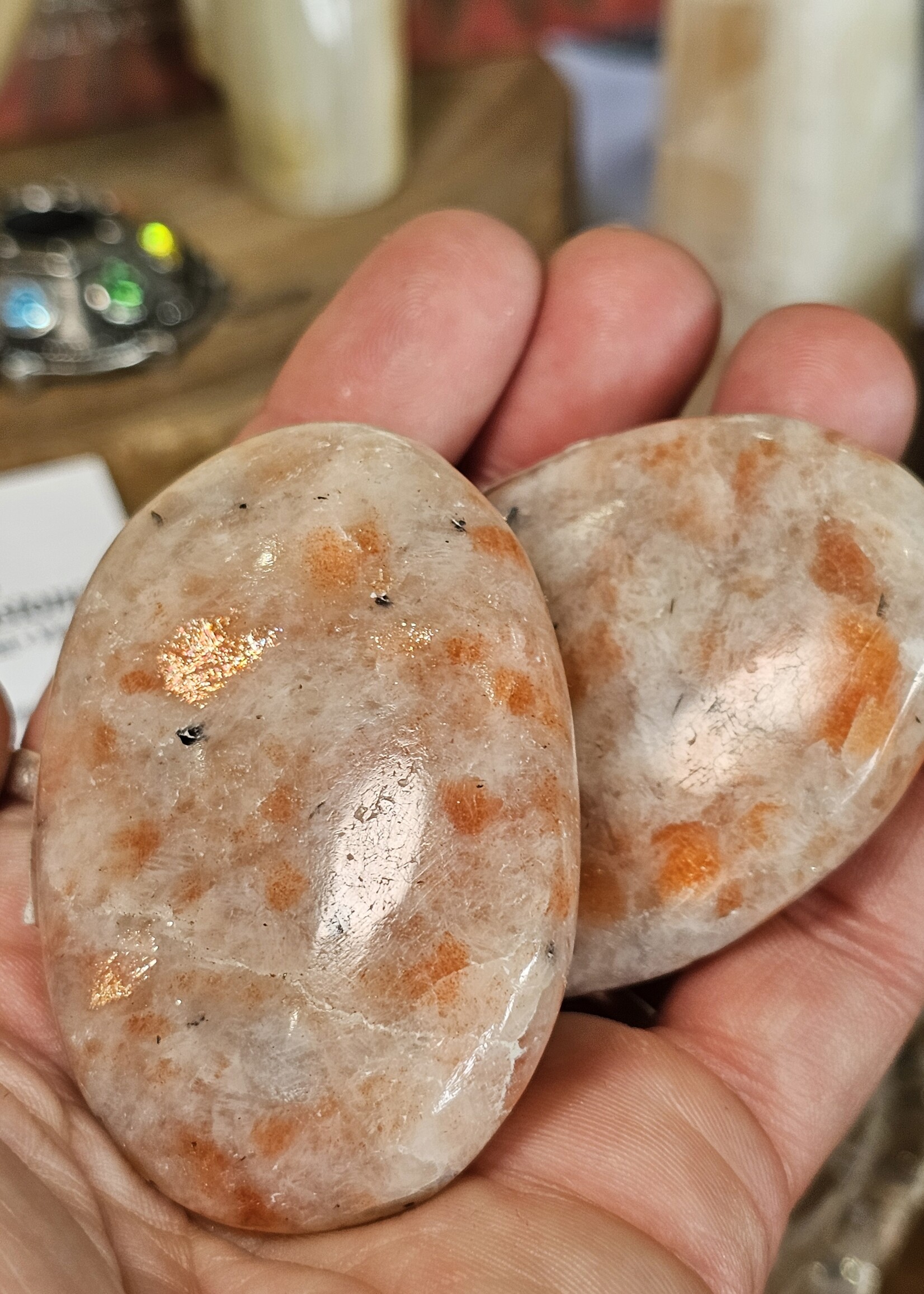 Sunstone Palm, Large 3x2x1