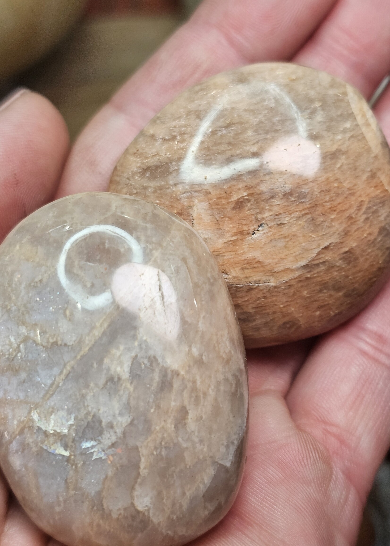 Peach Moonstone Palm Small 1.5x1.5x0.5 inch