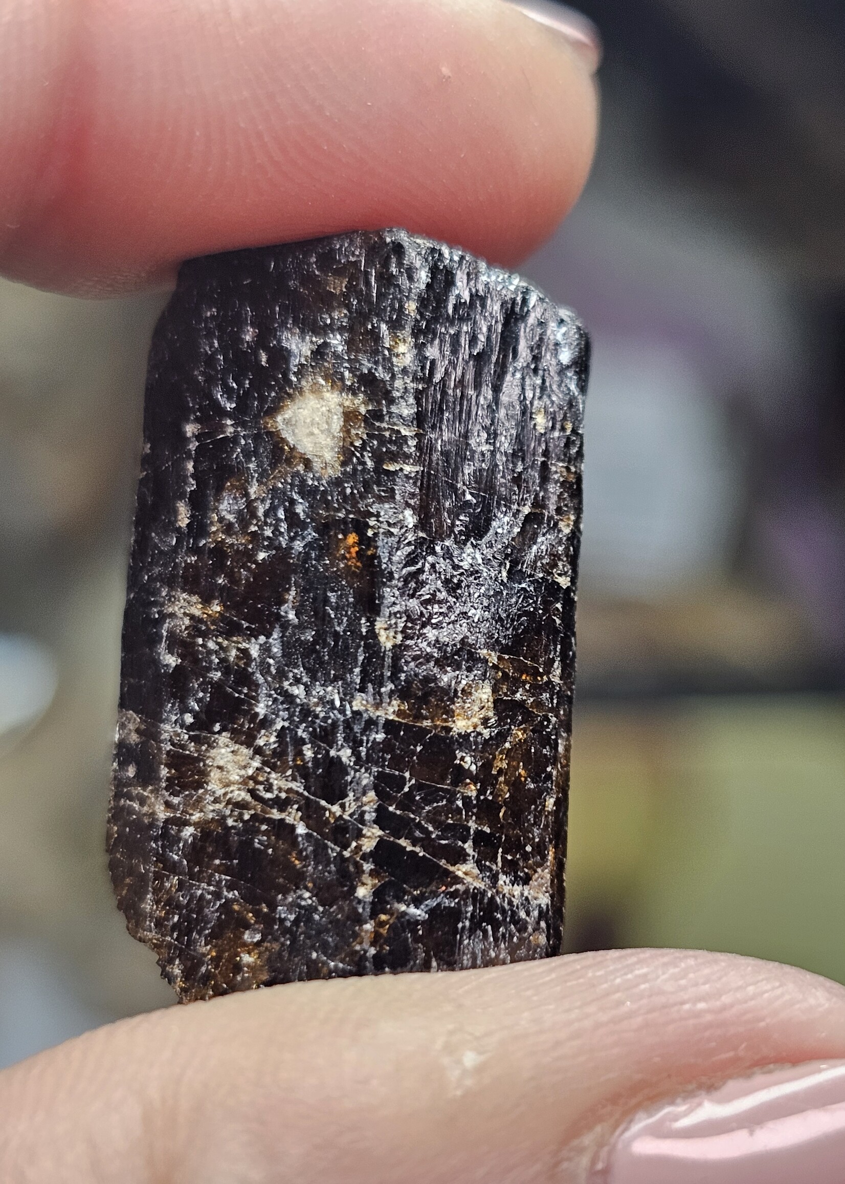 Dravite Tourmaline Natural Rough XSm: India