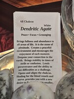 Dendritic Agate Palm Stone