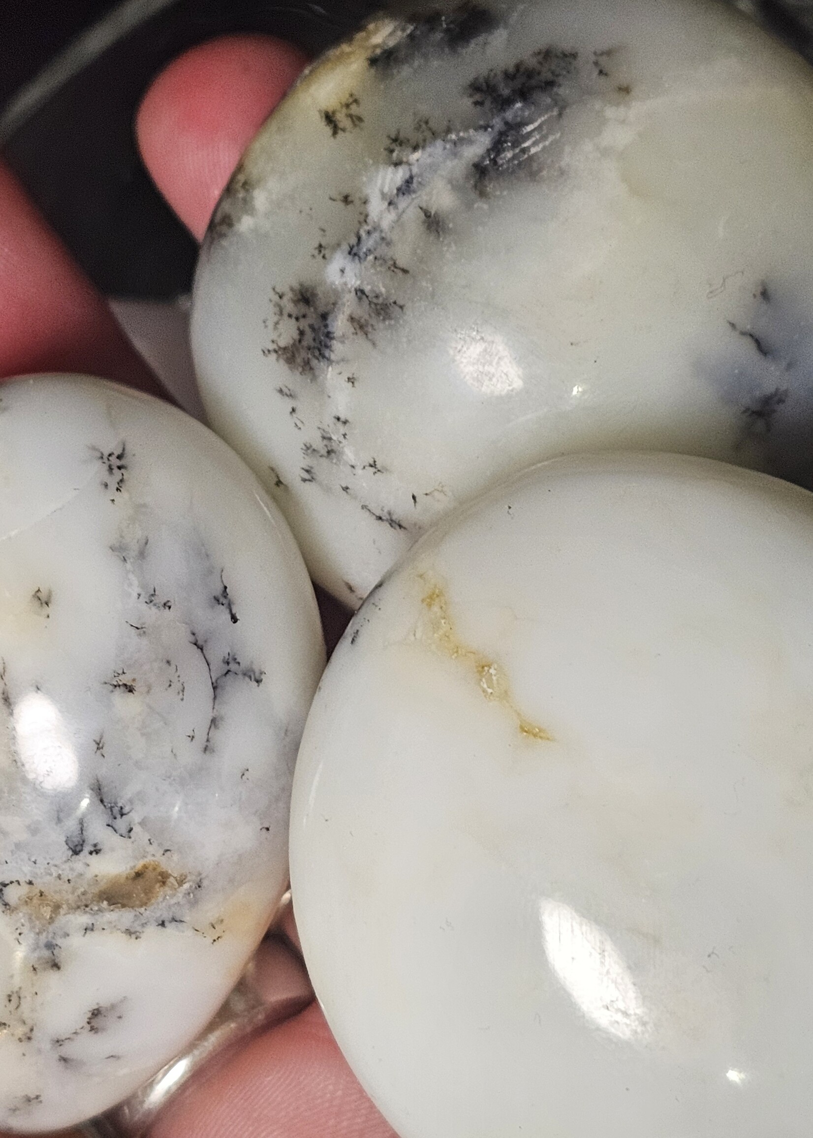 Dendritic Agate Palm Stone