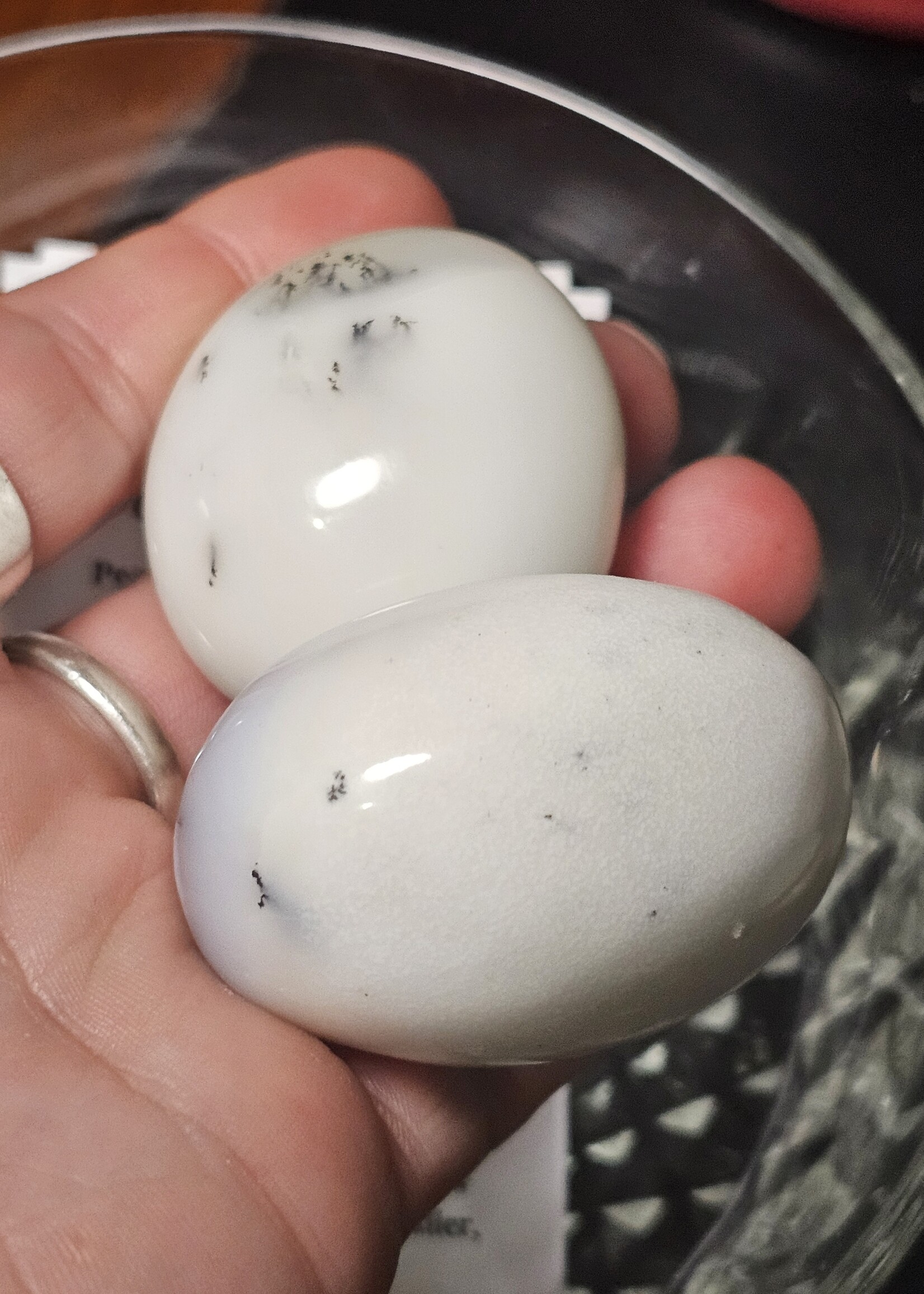Dendritic Agate Palm Stone