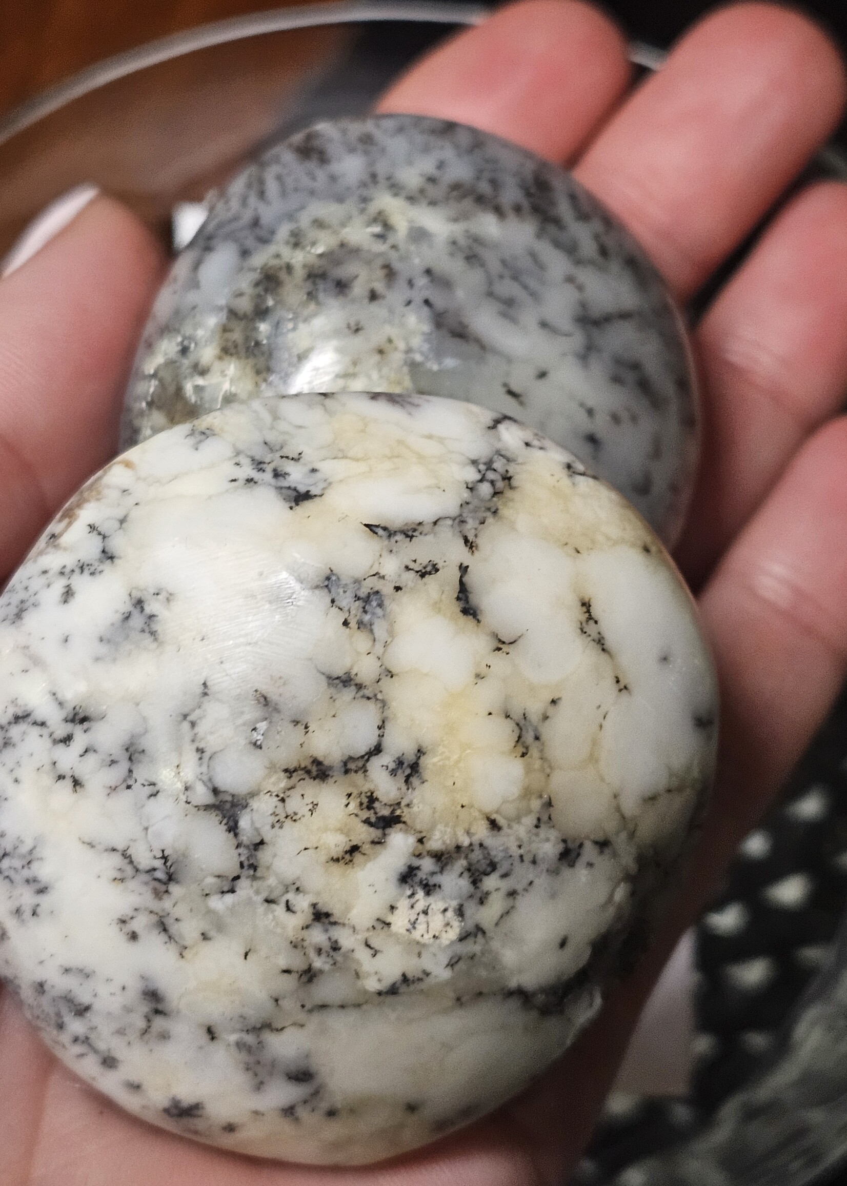Dendritic Agate Palm Stone