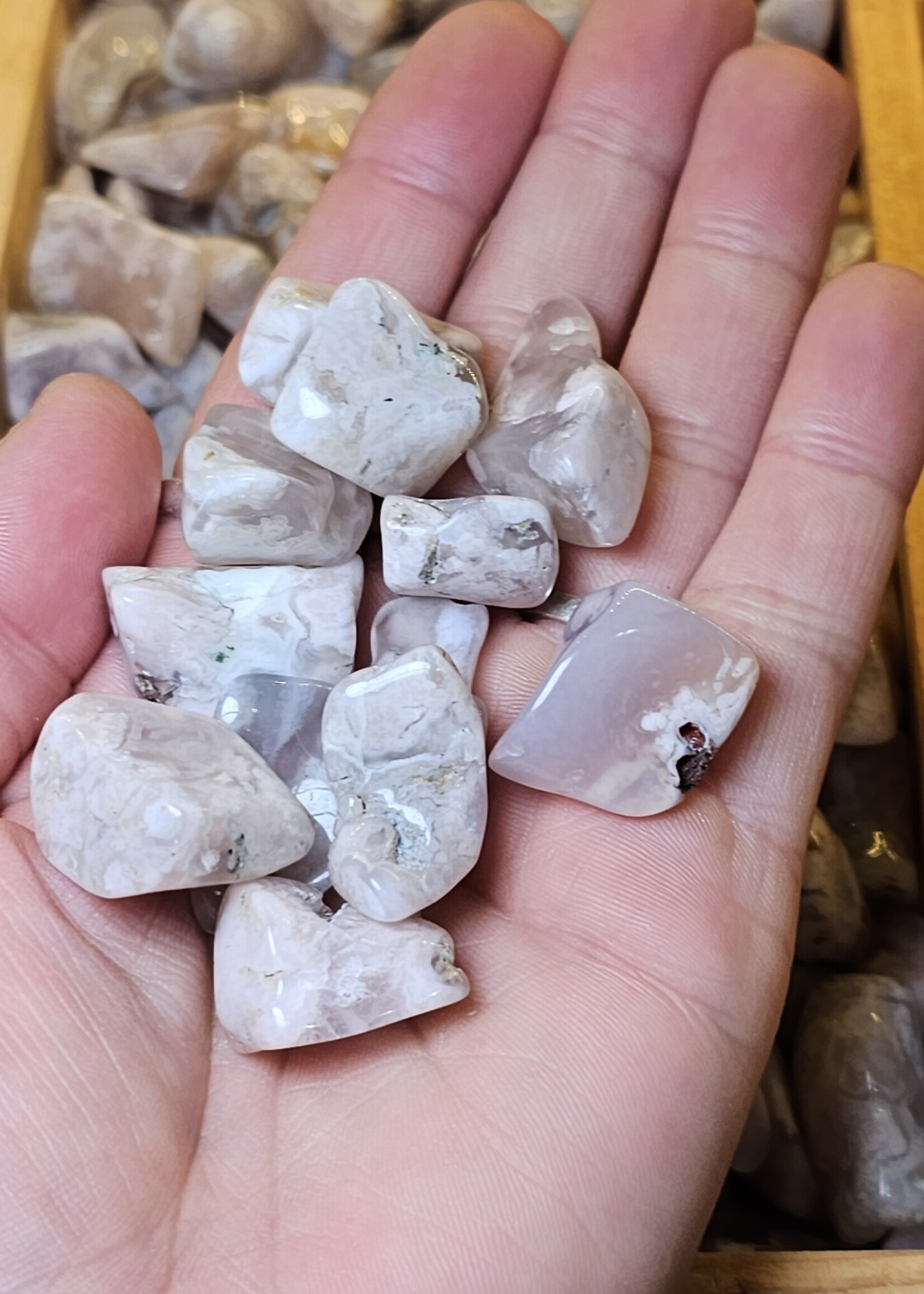 Flower Agate Tumbled