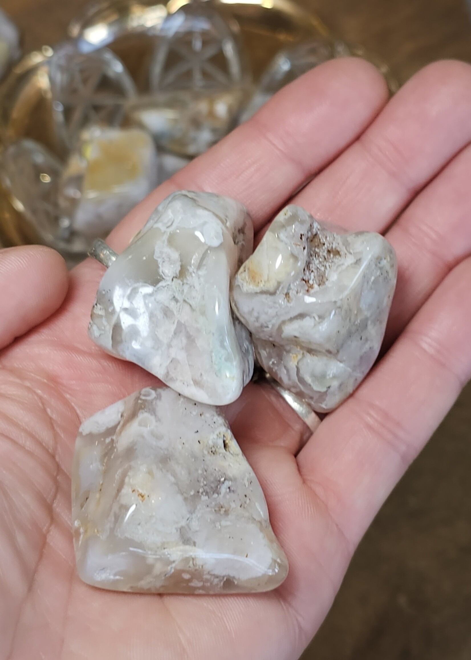 Flower Agate Tumbled