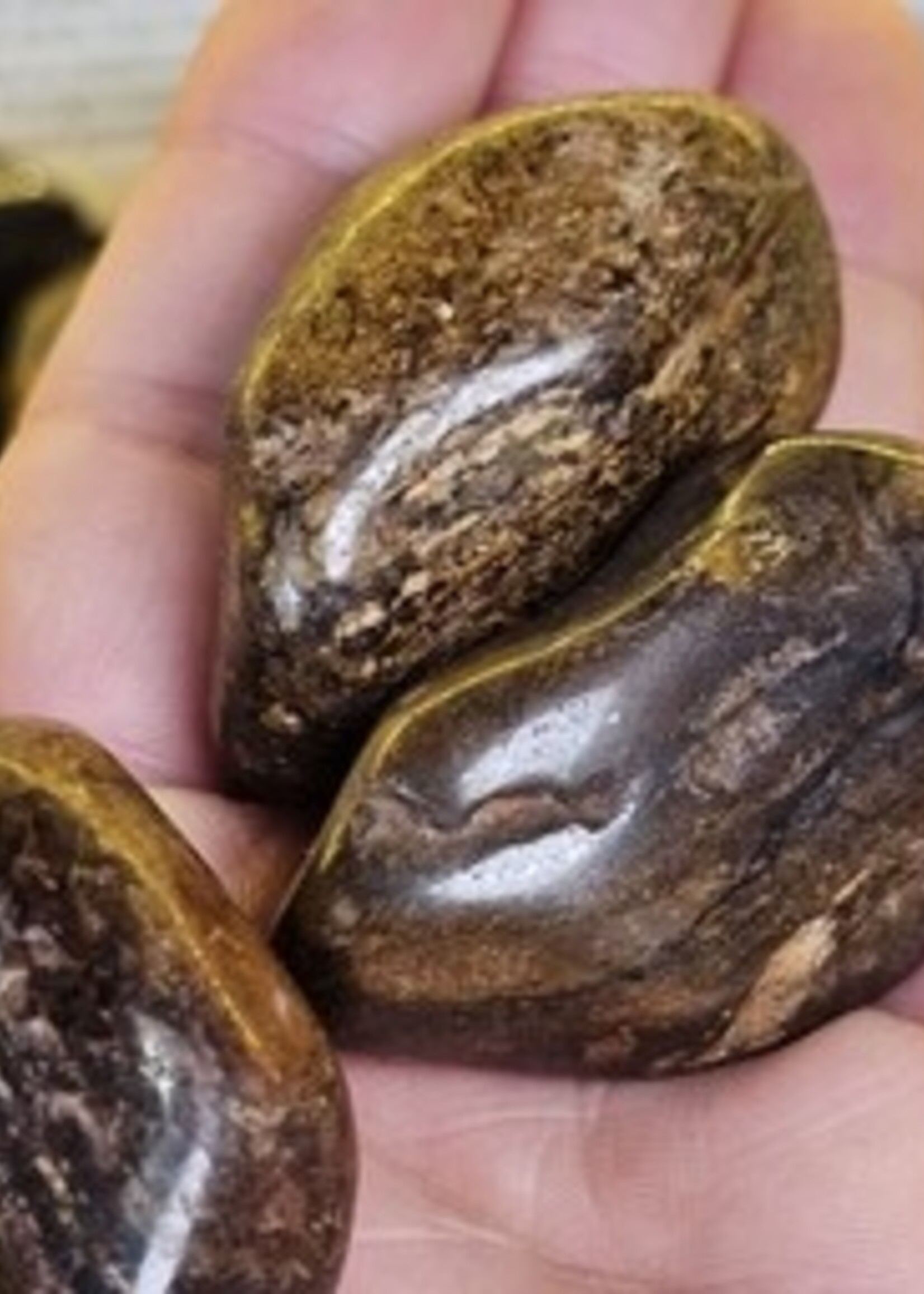 Bronzite Tumbled