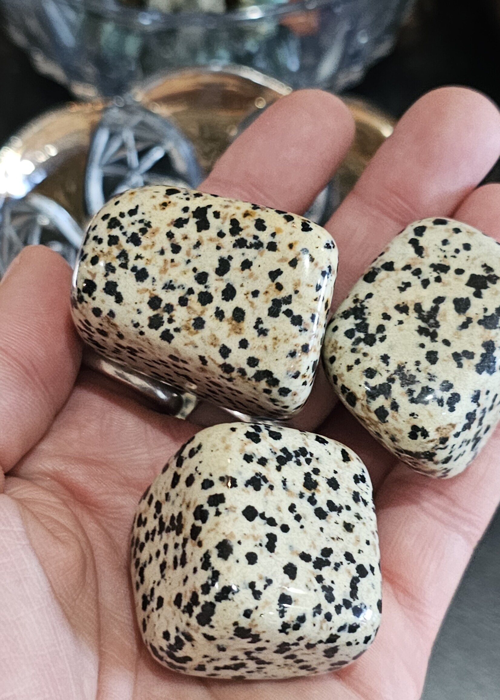 Dalmatian Jasper