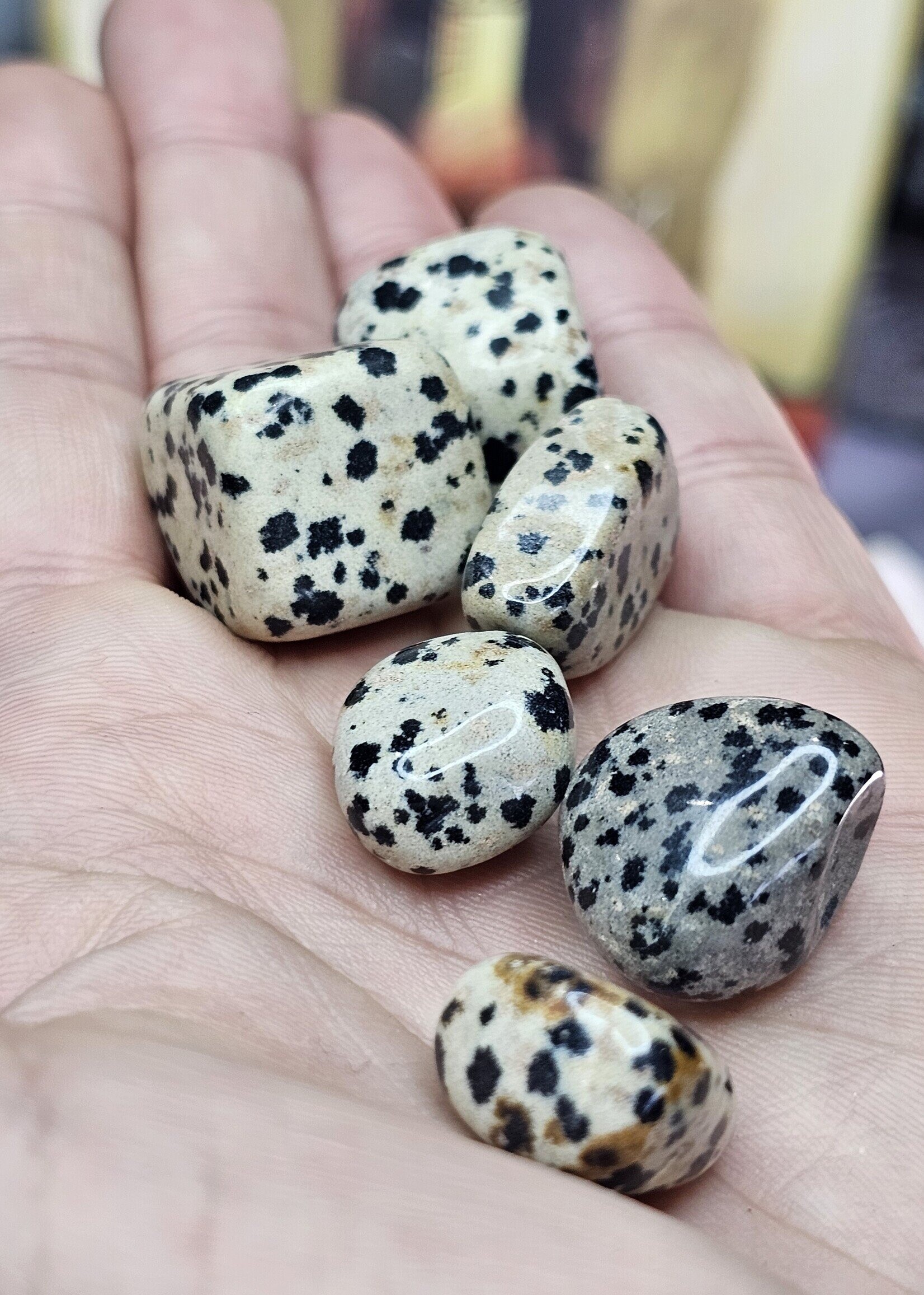 Dalmatian Jasper