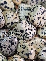 Dalmatian Jasper