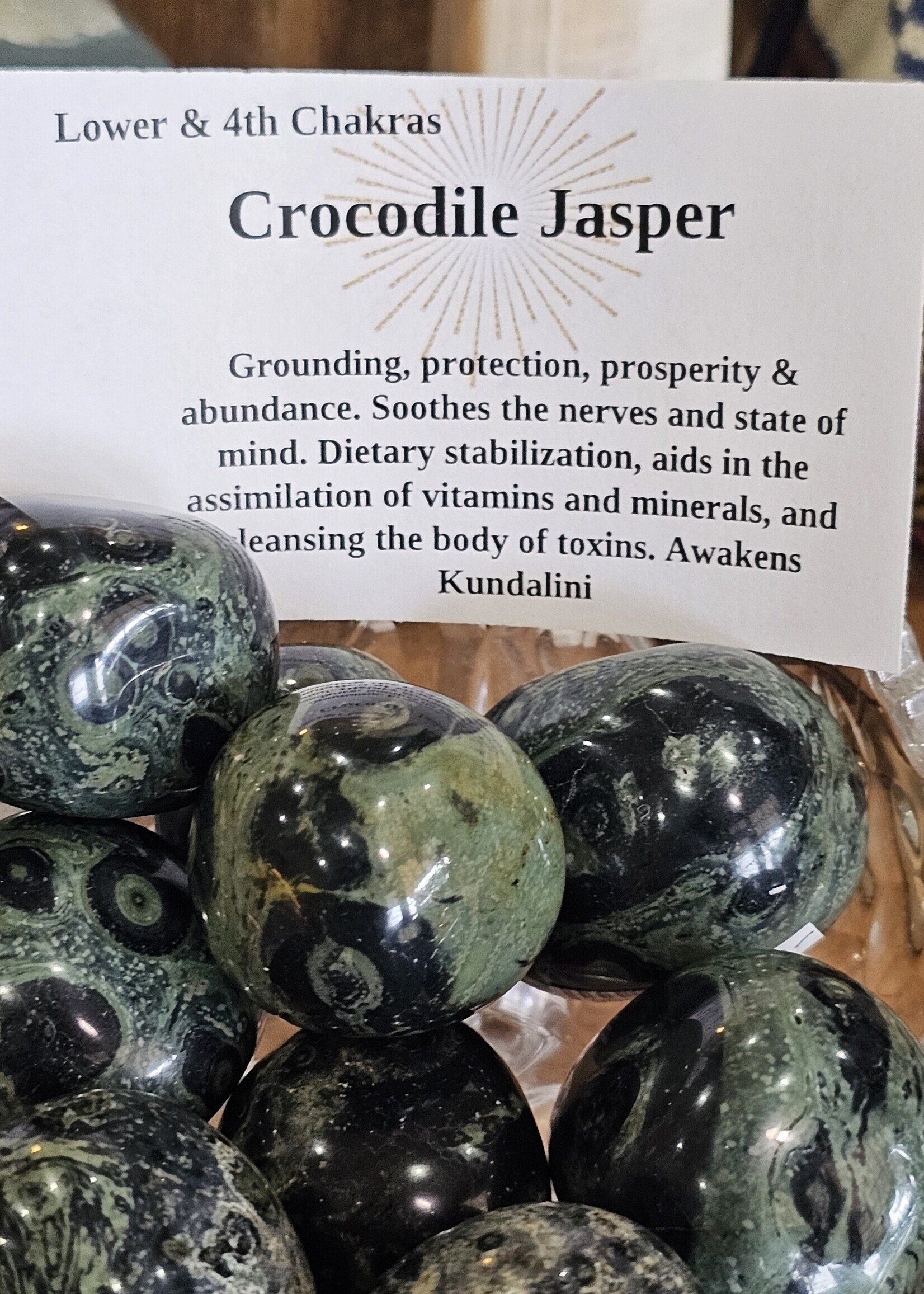 Crocodile / Kambaba Jasper Tumbled