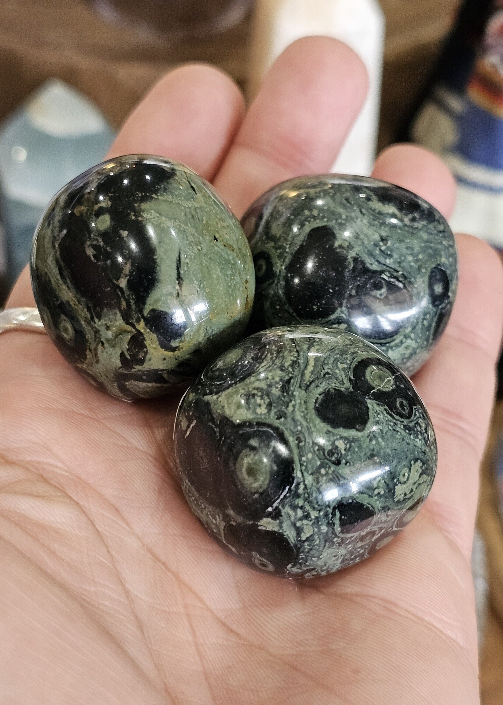 Crocodile / Kambaba Jasper Tumbled